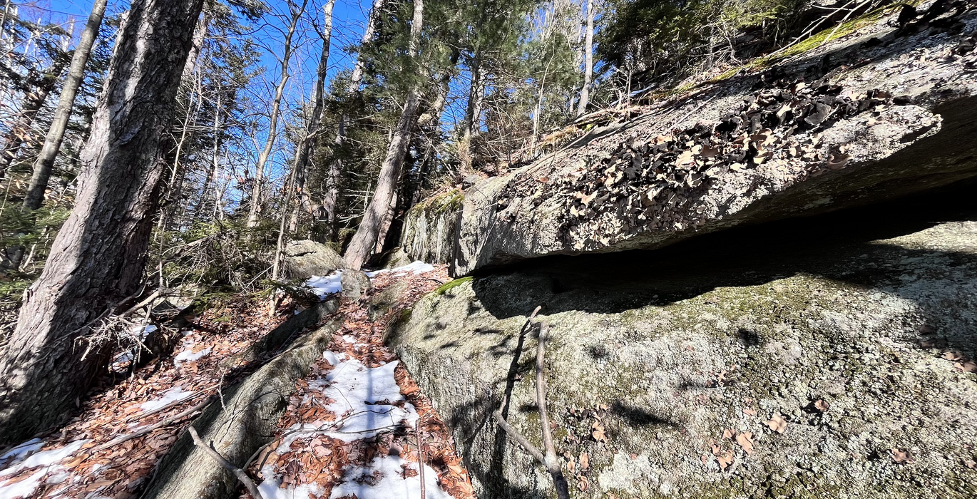 Screen Shot 2023 12 20 at 2 34 31 PM