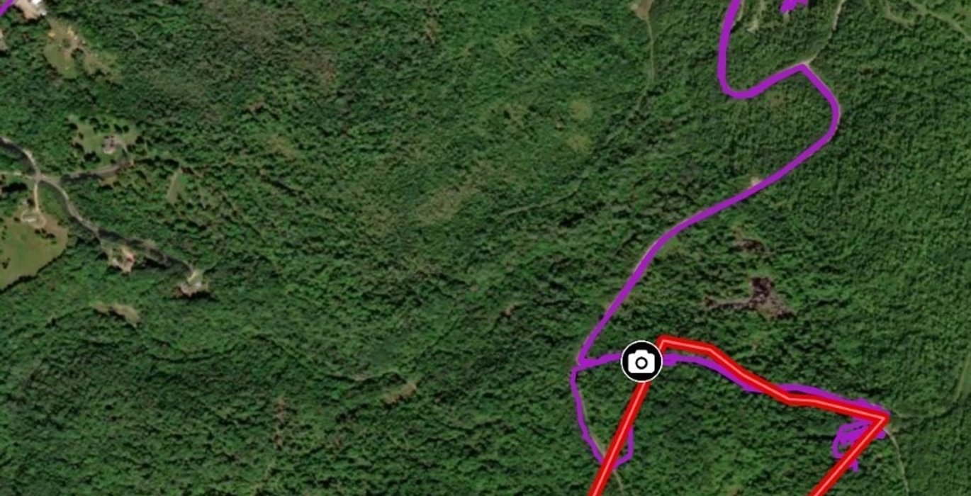 Screenshot 20240923 120742 Land id
