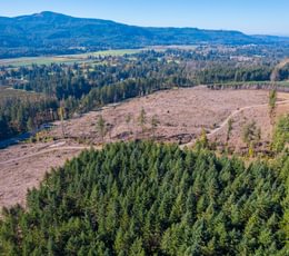 Santiam Pioneer 19