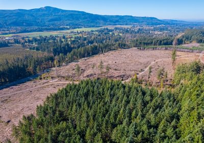 Santiam Pioneer 19