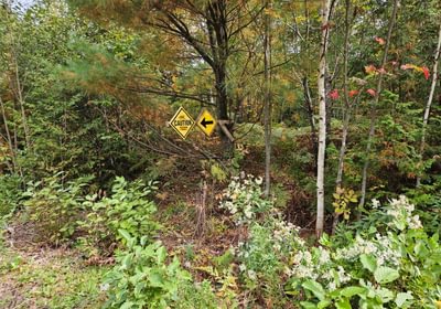 Snowmobile sign along ROW