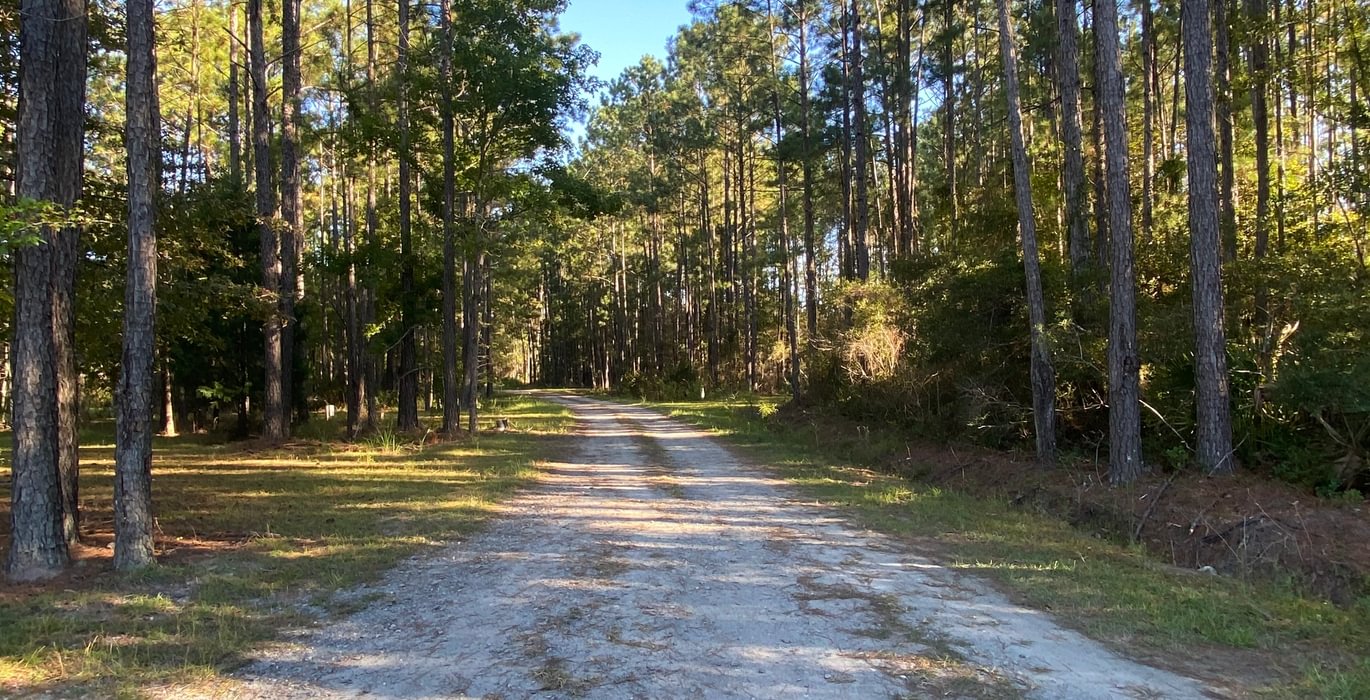 Spring Road Entrance