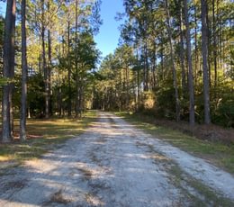 Spring Road Entrance