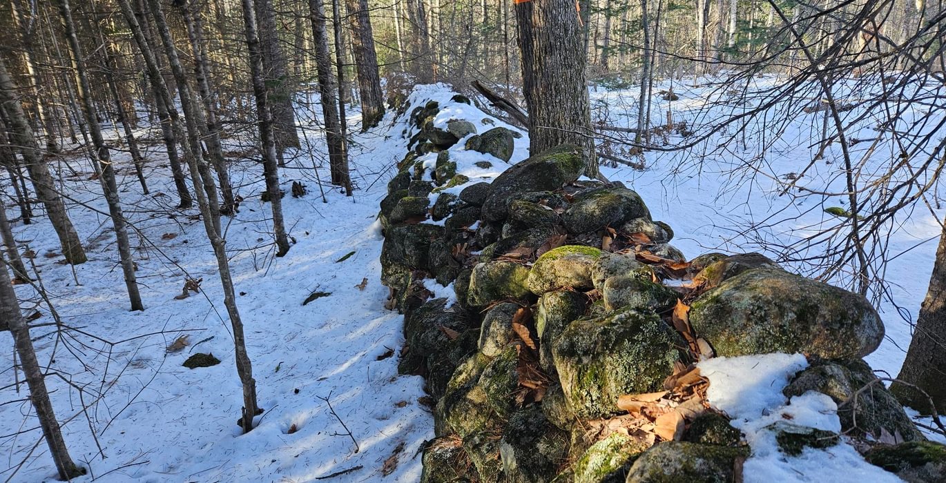 Stone wall boudary 2