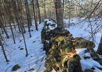 Stone wall boudary 2