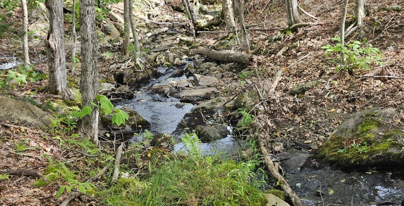 Stream from Howes 3