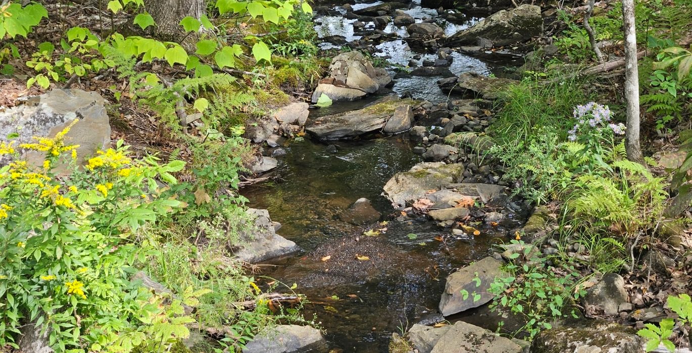 Stream from Howes Pond