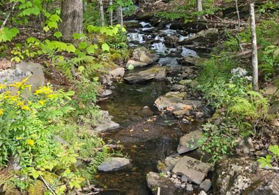 Stream from Howes Pond