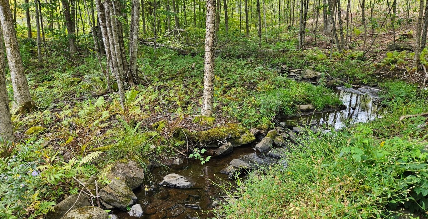 Stream from Howes pond 2