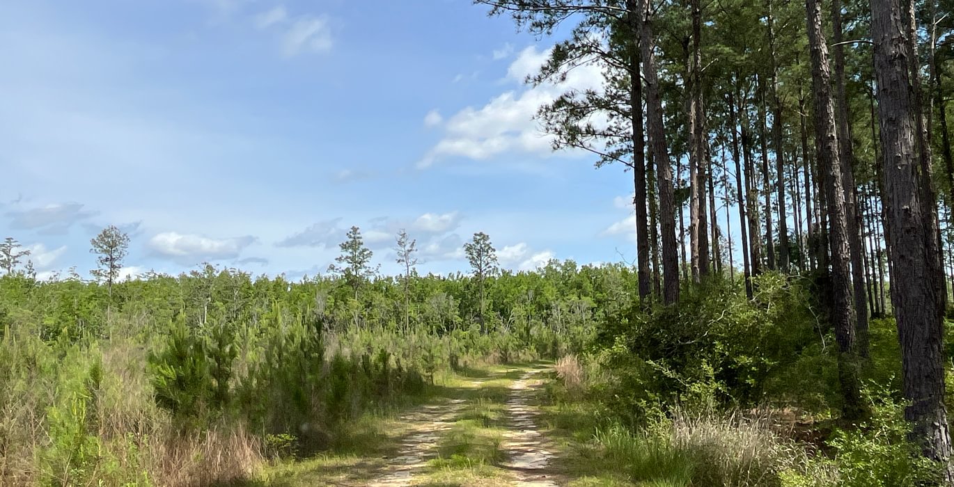 Stroll through the country
