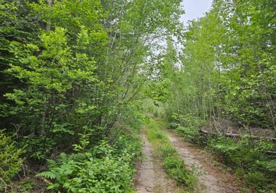 T7 access road
