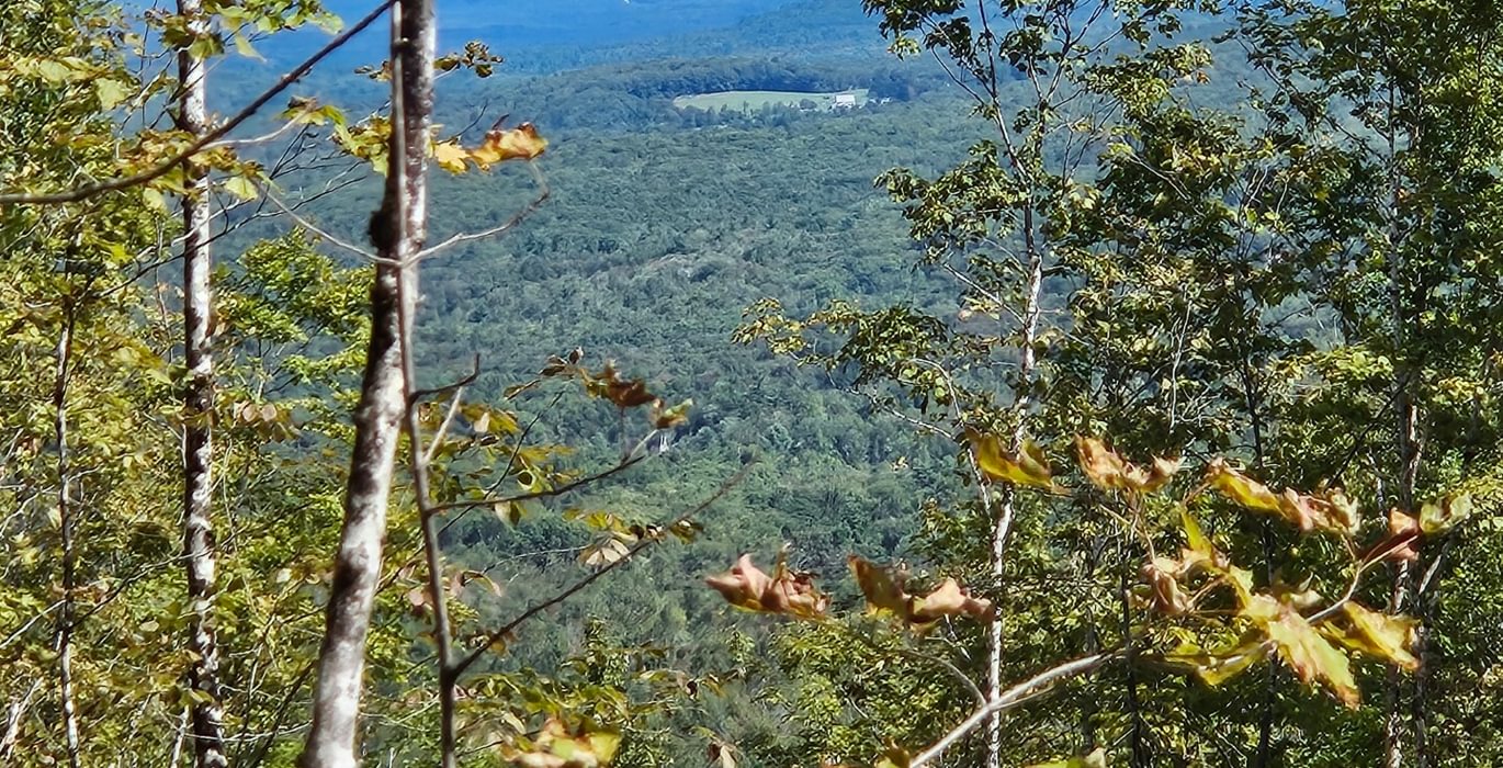 View 5