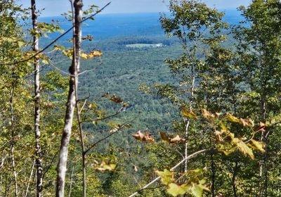 View 5
