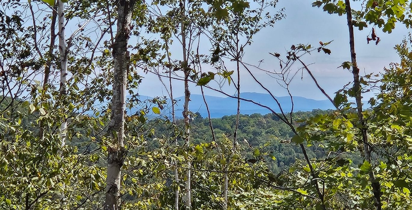 View 8