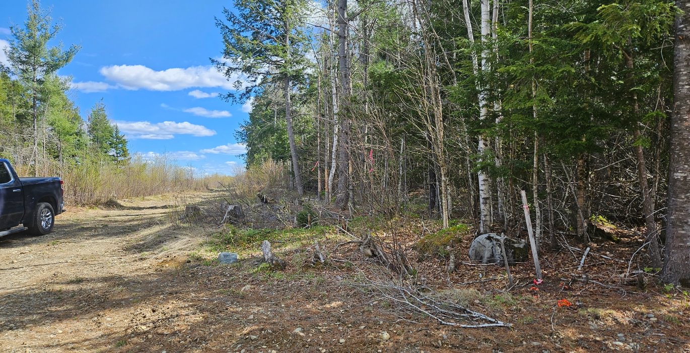West boundary line with access road