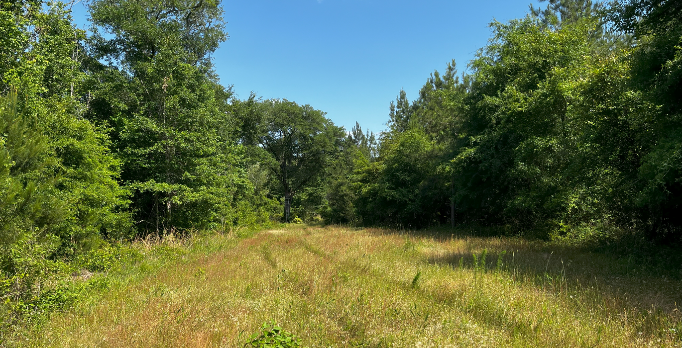 Wildlife food plot