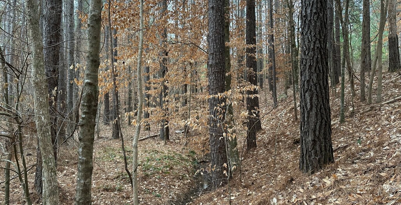 B IMG 4871
