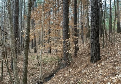 B IMG 4871