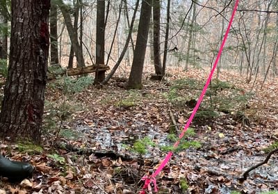 Boundary line