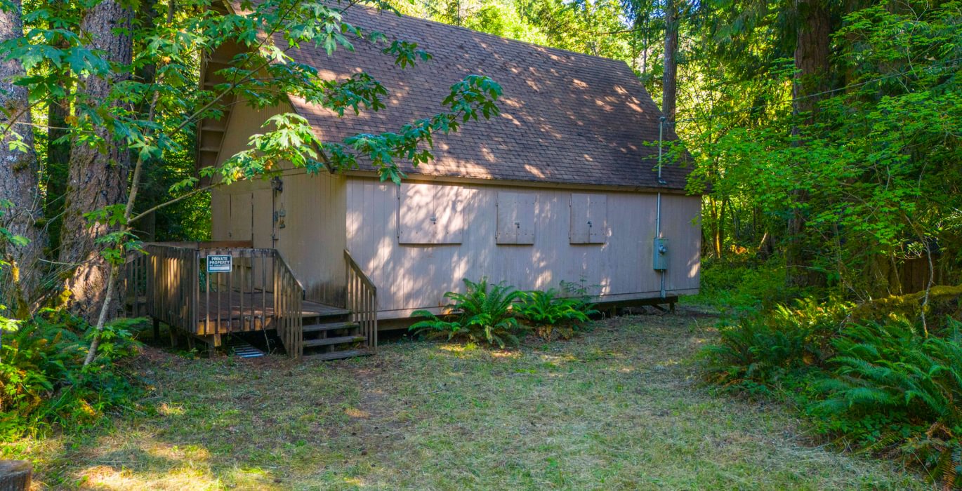 Cabin 4