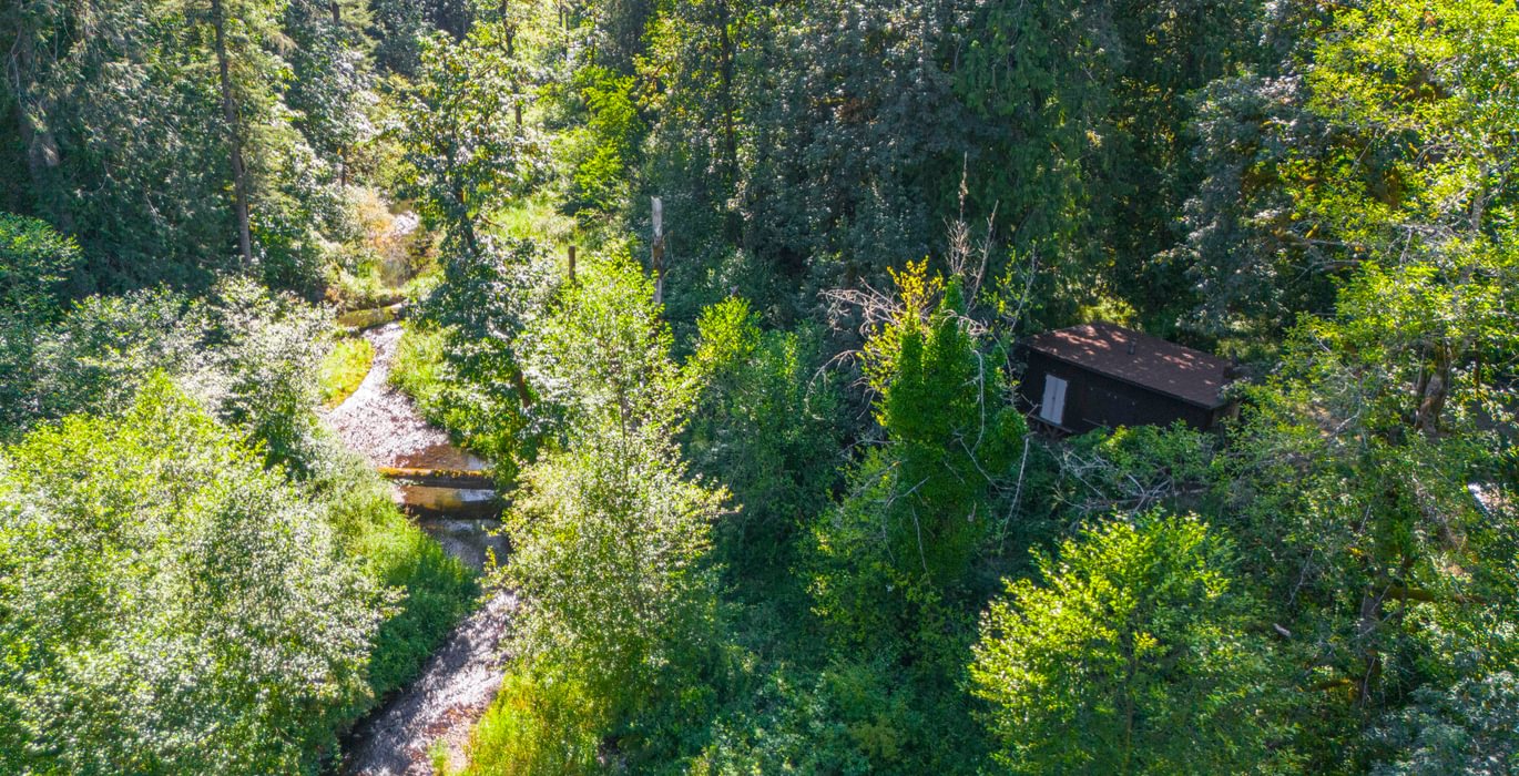 Cabin 2