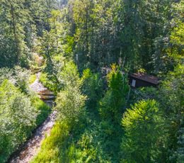Cabin 2