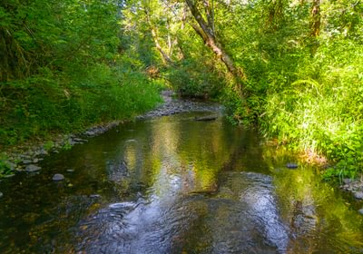 Creek 9