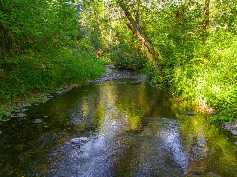 Photo 1 of Tickle Creek, 42.7 acres, Clackamas County, Oregon