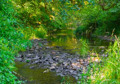 Creek 10