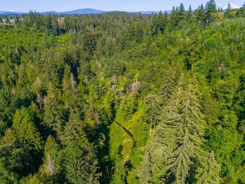Photo 2 of Tickle Creek, 42.7 acres, Clackamas County, Oregon
