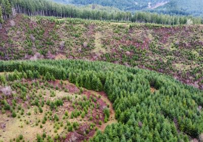 Dji fly 20240207 104216 370 1707331344050 photo optimized