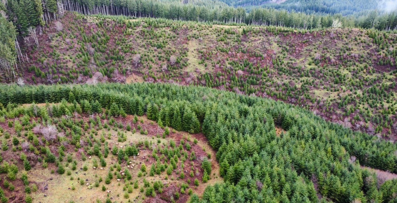 Dji fly 20240207 104216 370 1707331344050 photo optimized