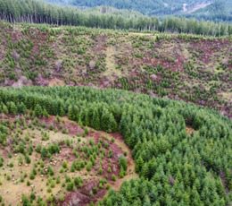 Dji fly 20240207 104216 370 1707331344050 photo optimized