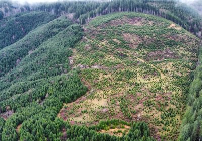 Dji fly 20240207 104344 373 1707331433211 photo optimized