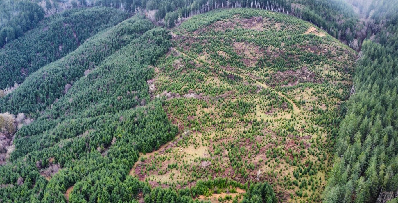 Dji fly 20240207 104344 373 1707331433211 photo optimized