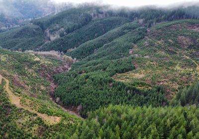 Dji fly 20240207 104420 374 1707331532438 photo optimized