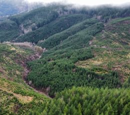 Dji fly 20240207 104420 374 1707331532438 photo optimized