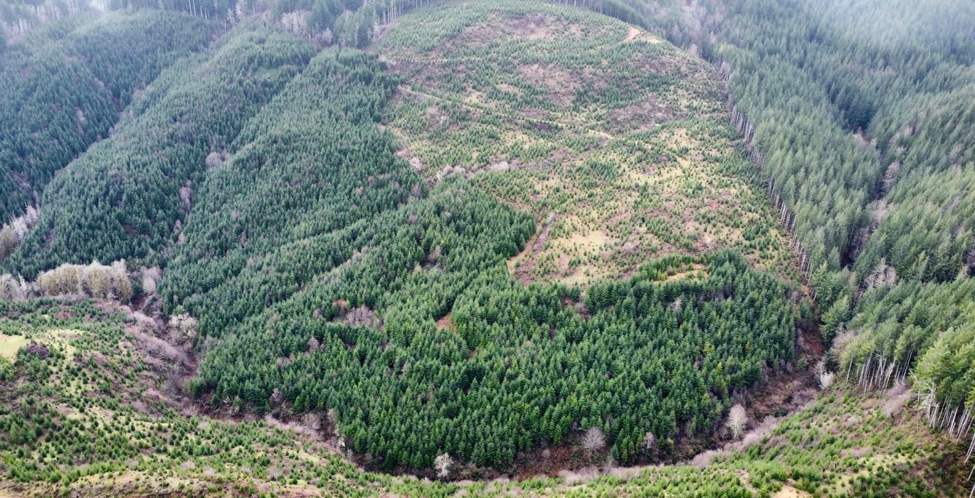Dji fly 20240207 104644 378 1707331675685 photo optimized