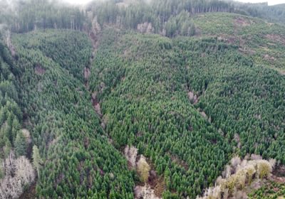 Dji fly 20240207 104856 382 1707331753350 photo optimized