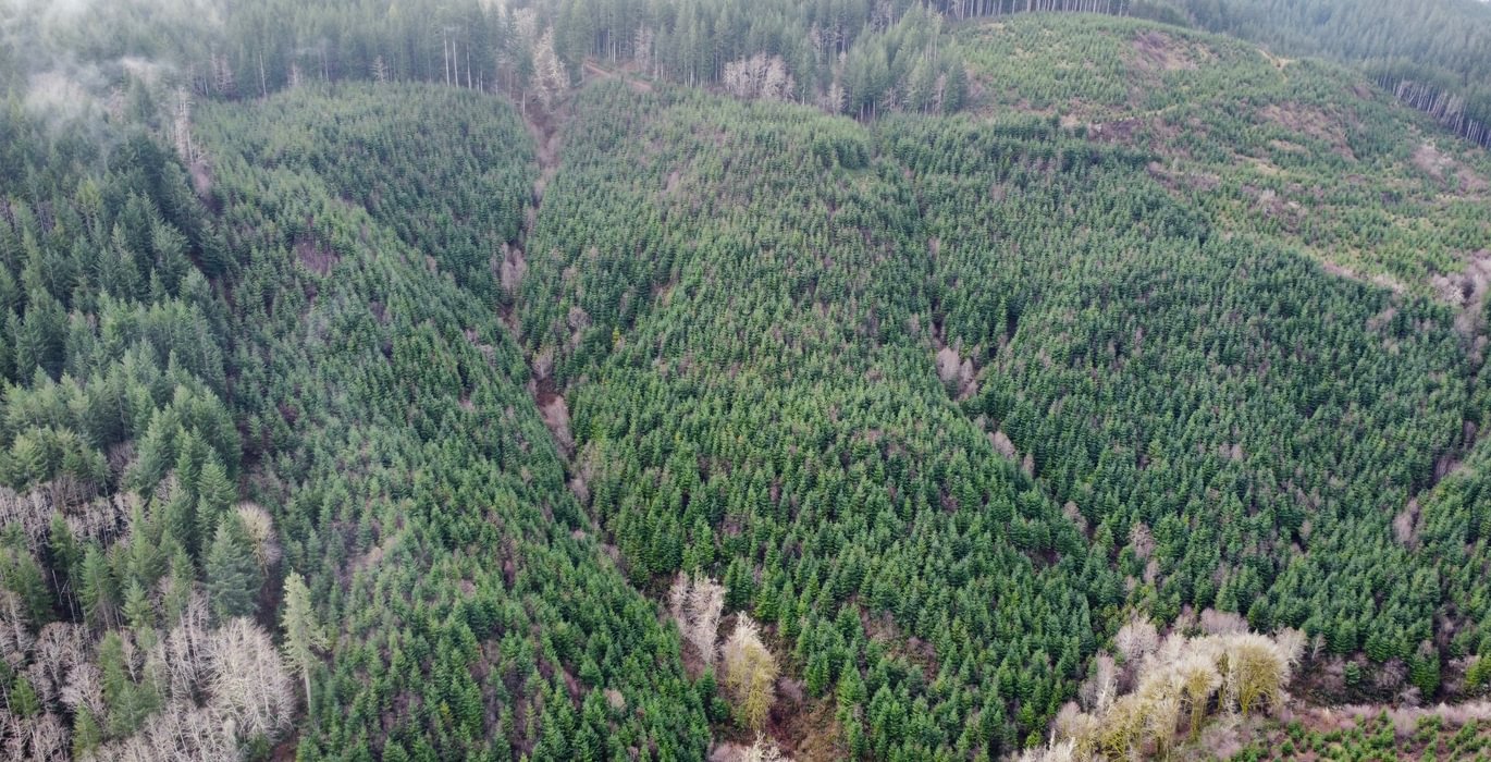 Dji fly 20240207 104856 382 1707331753350 photo optimized