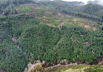 Dji fly 20240207 104830 380 1707331724090 photo optimized