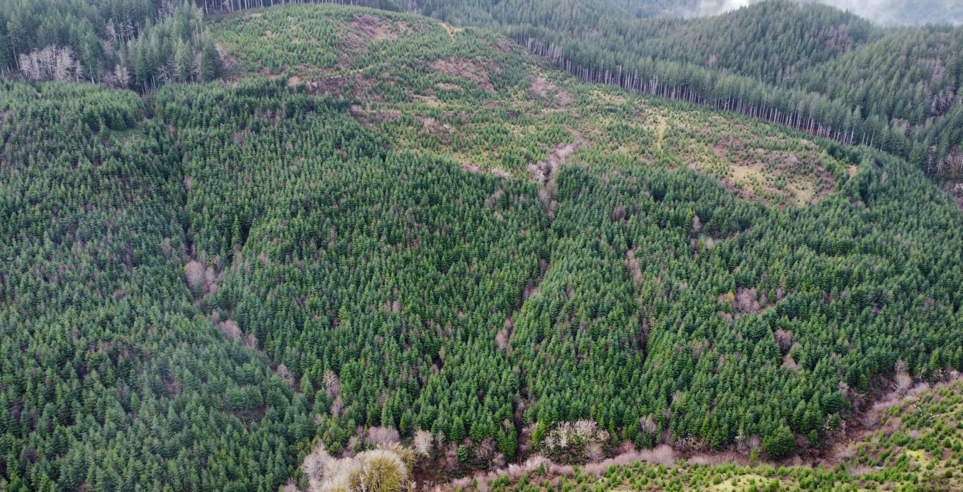 Dji fly 20240207 104830 380 1707331724090 photo optimized