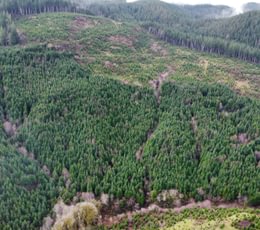 Dji fly 20240207 104830 380 1707331724090 photo optimized