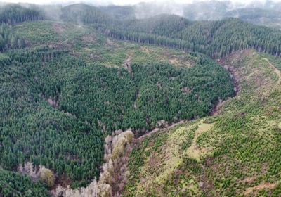 Dji fly 20240207 104932 385 1707331782436 photo optimized