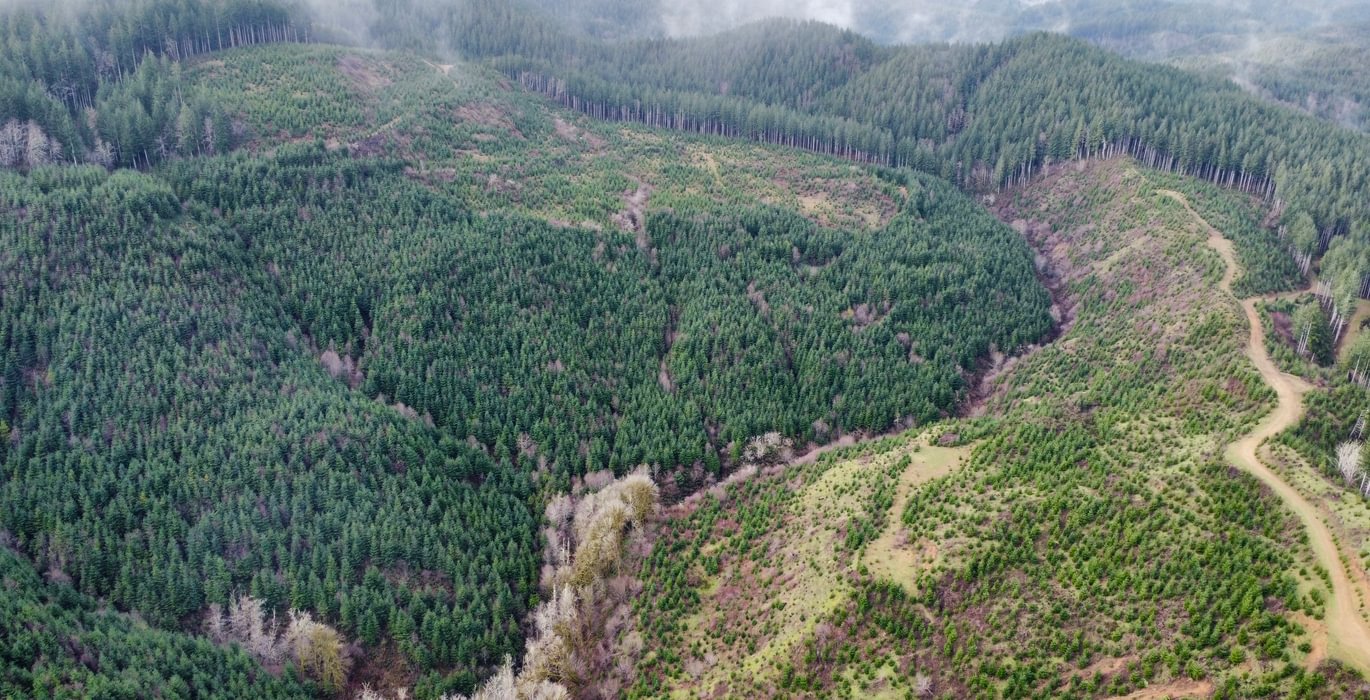 Dji fly 20240207 104932 385 1707331782436 photo optimized
