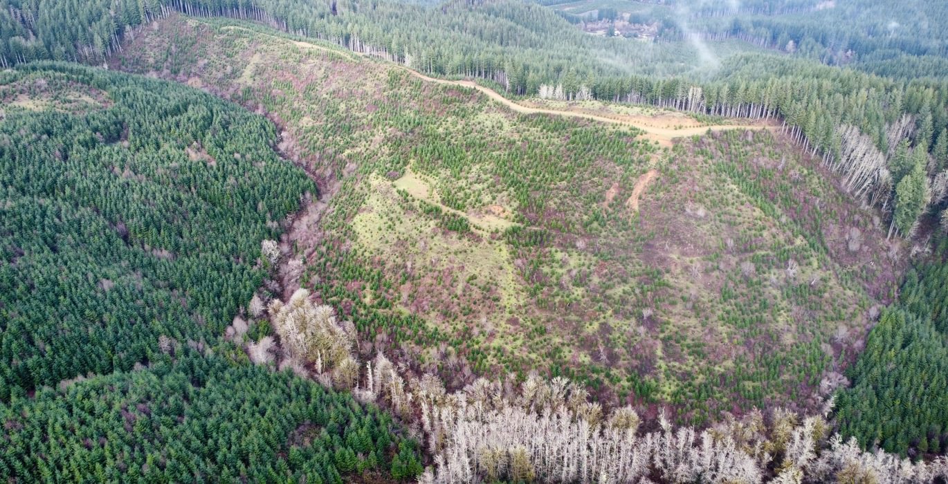 Dji fly 20240207 105028 387 1707331847730 photo optimized