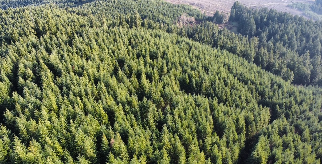 Dji fly 20240225 084358 422 1708879646439 photo optimized