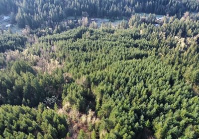 Dji fly 20240225 084332 419 1708879636241 photo optimized