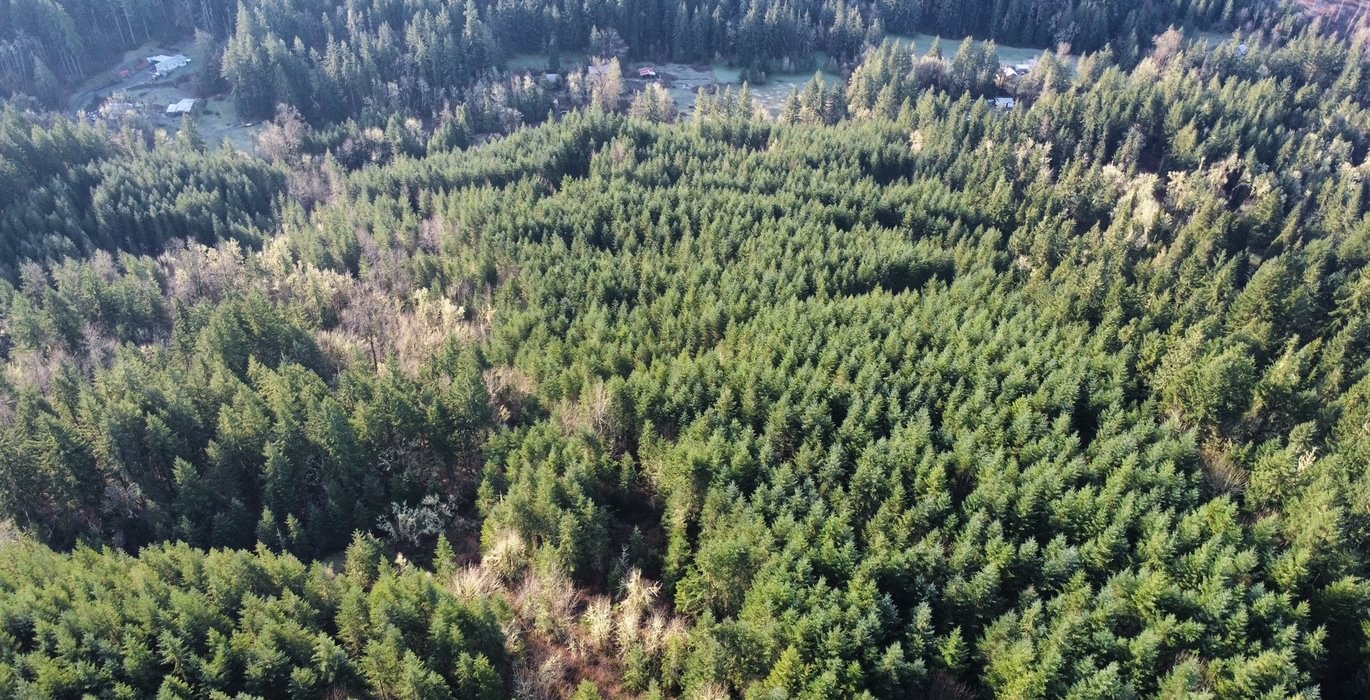 Dji fly 20240225 084332 419 1708879636241 photo optimized