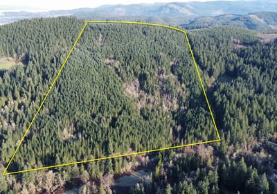 Dji fly 20240225 084630 430 1708879675111 photo optimized